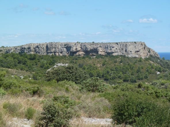P1100169
